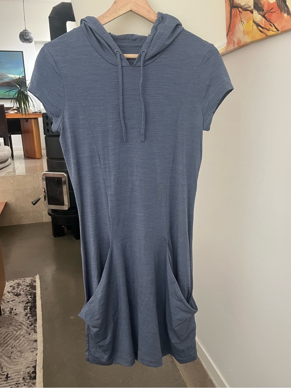 Icebreaker Yanni Hooded Dress